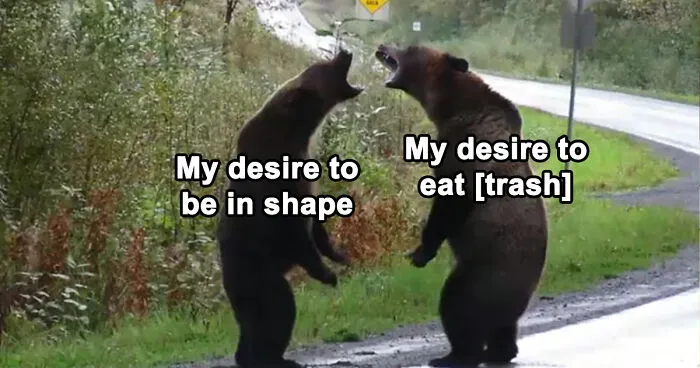 50 Gym Memes That Pick At The Stereotypes But Are Also Pretty Relatable