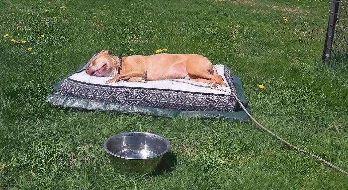 Blissed Out!