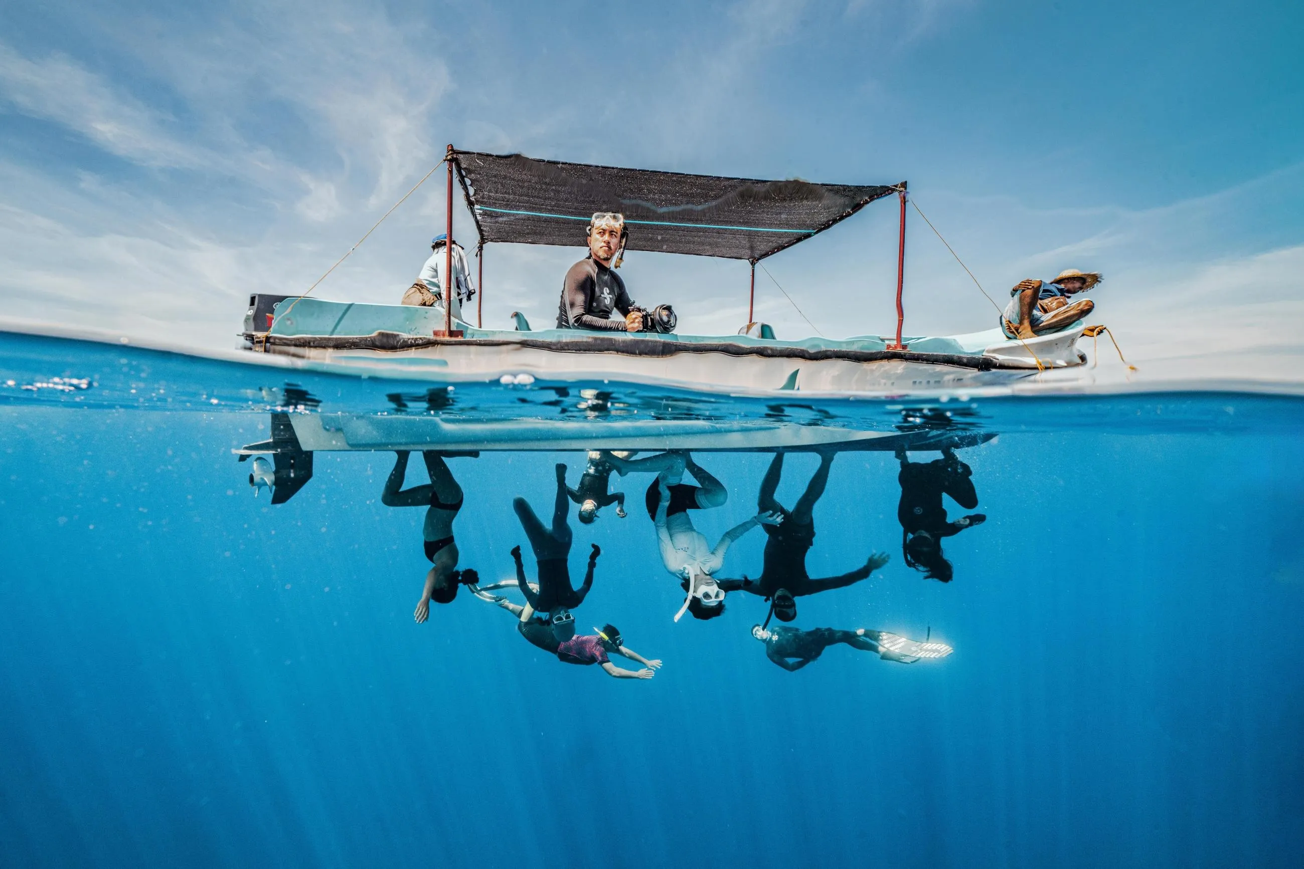 Wow, Did You See That? Award-Winning Photos That Hit You Right In The Feels