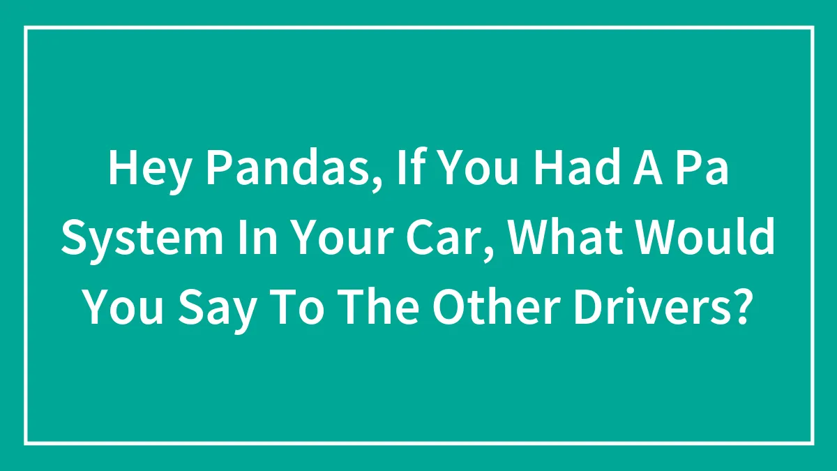 Hey Pandas, If You Had A Pa System In Your Car, What Message Would You Shout To Other Drivers? (Closed)