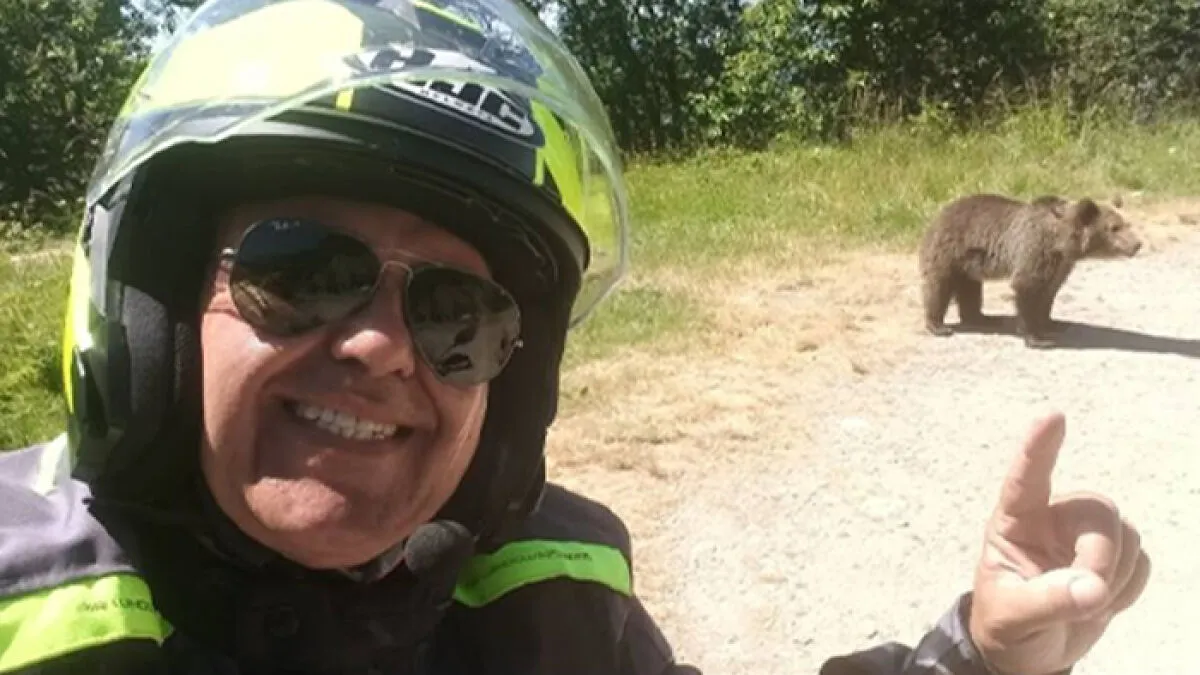 Bear Drags Tourist Off Cliff After He Ignores Warnings To Snap Selfie With Cub