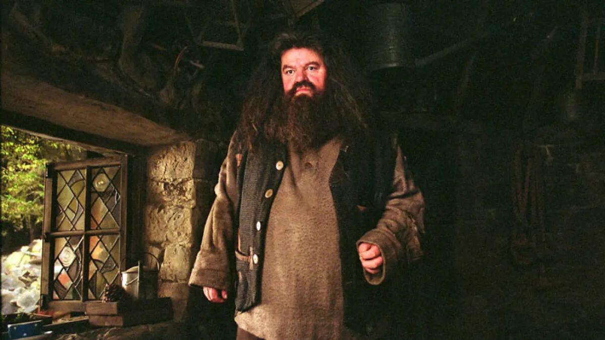 Harry Potter Fans Brutally Roast Hagrid's First Look In The Upcoming Series