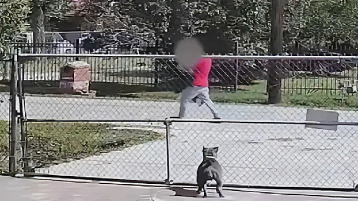 Horrifying Footage Captures Screaming Trafficking Victim Being Dragged To Captivity After Escaping