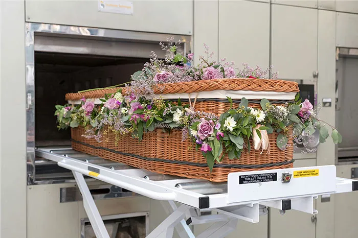 “Littered With Corpses”: 35 Strange Facts You’d Wish You Could Unlearn But Unfortunately Can’t