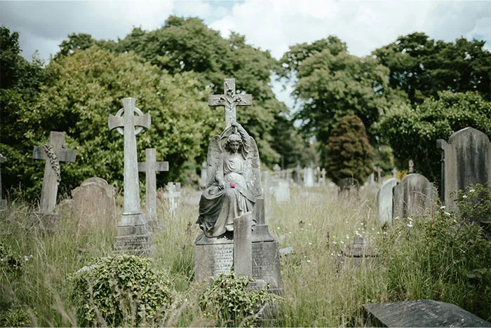 “Littered With Corpses”: 35 Strange Facts You’d Wish You Could Unlearn But Unfortunately Can’t
