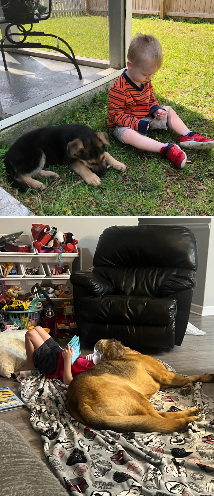 5 años de diferencia entre ambas fotos