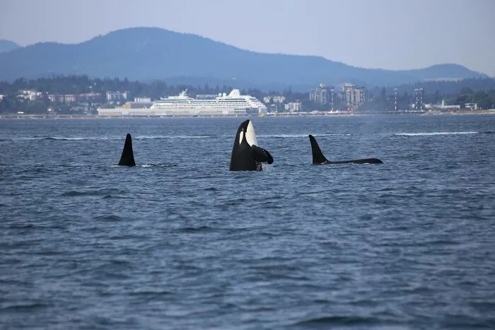 "We Are In A Mass Extinction Event": These 46 Things Have People Concerned About The Future