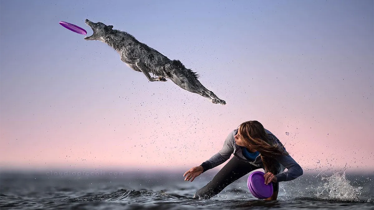 50 Dogs Captured In Peak Motion By Claudio Piccoli