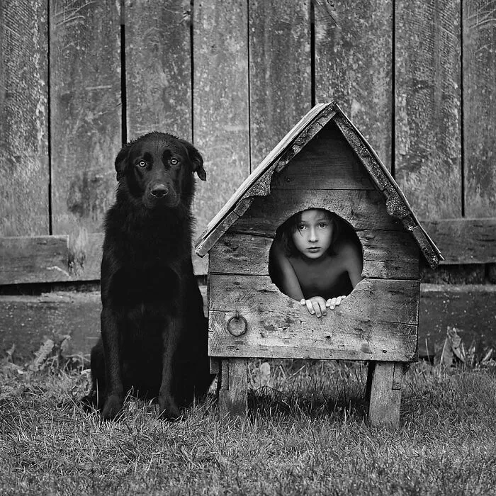 30 Unexpected Animal Moments Caught On Camera In The Streets, As Shared On This Instagram Page