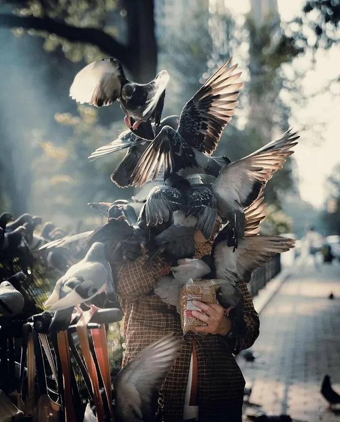 30 Unexpected Animal Moments Caught On Camera In The Streets, As Shared On This Instagram Page