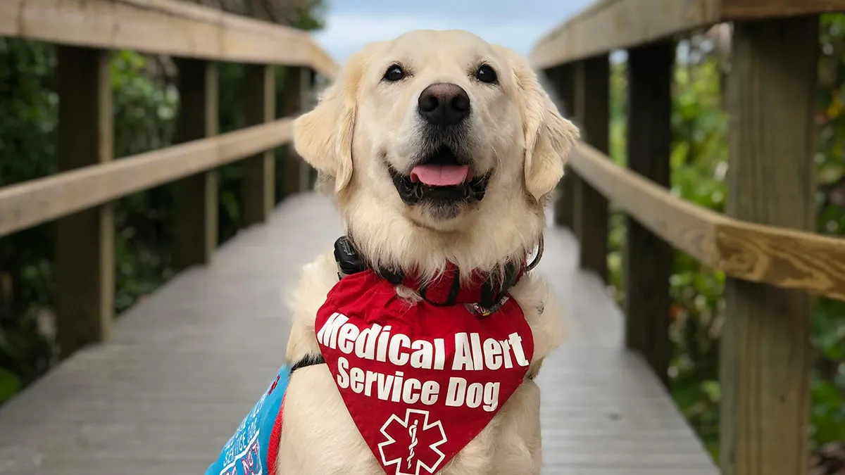 "Entitled Mom Demanded I Give Her My Late Brother’s Service Dog"