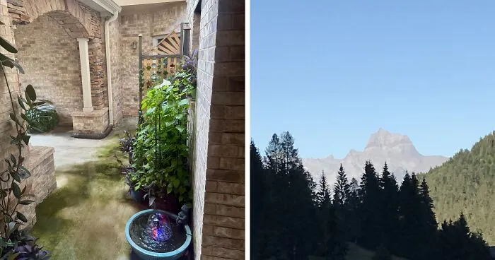 Hey Pandas, Post Your Current View Outside The Window (Closed)