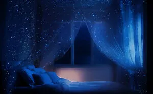 My New Glow In The Dark Star Canopies