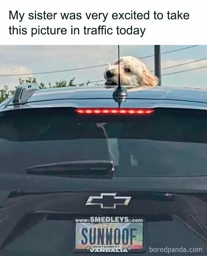 50 Random Memes That Brought Chaos, Laughter, And Unfiltered Fun