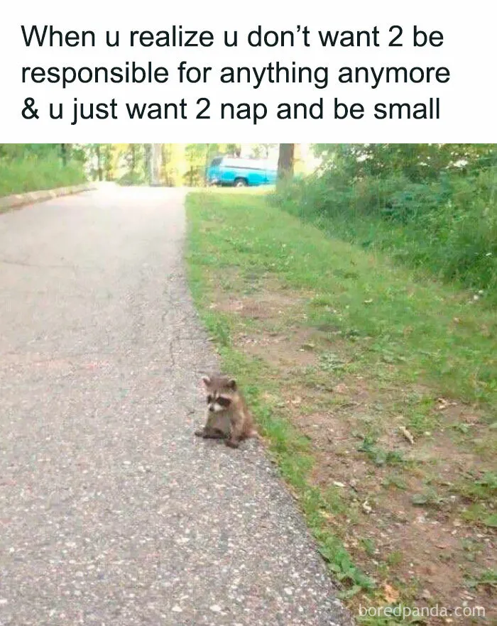 50 Random Memes That Brought Chaos, Laughter, And Unfiltered Fun
