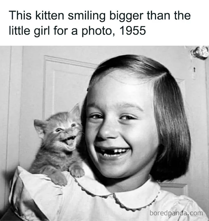 50 Funny And Relatable Animal Memes To Instantly Improve Your Entire Day (New Pics)