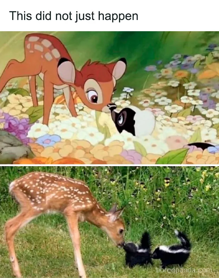 50 Funny And Relatable Animal Memes To Instantly Improve Your Entire Day (New Pics)