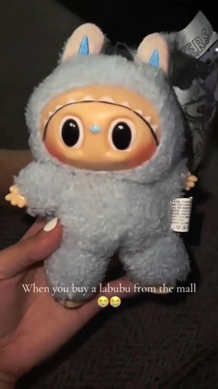 Fake Labubu: 50 Times People Unknowingly Bought A Lafufu And Had To Share It Online