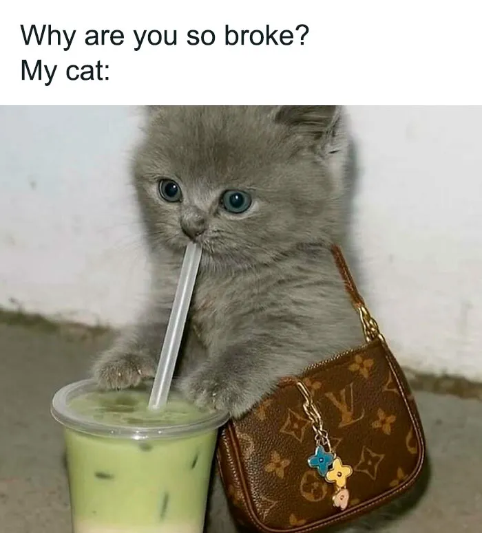 Girly Women Are Cracking Up At These 50 Memes That Are Way Too Relatable