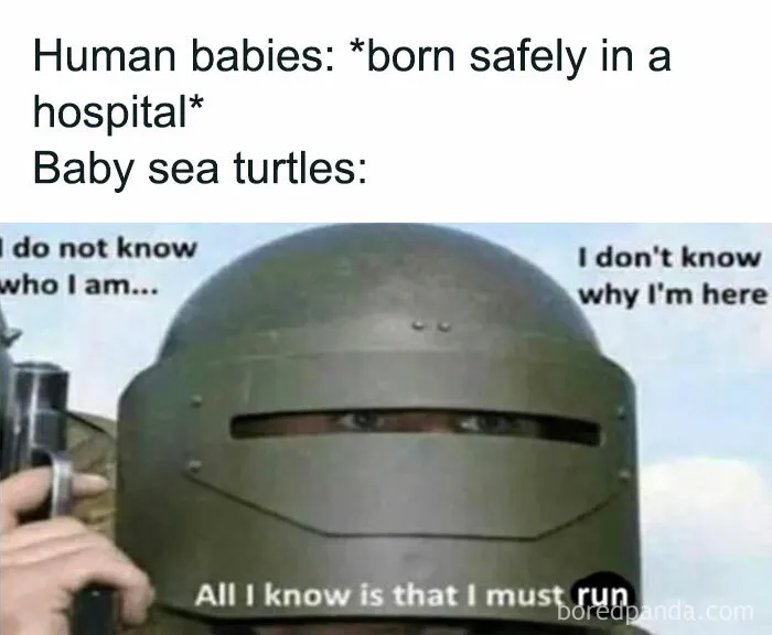 These 50 Philosophy Memes Might Either Give You An Existential Crisis Or Solve All Your Problems