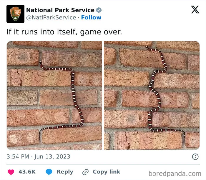 50 Times Official Accounts Posted The Most Hilarious And Unhinged Things Online