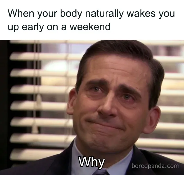 50 Funny Random Memes That Are The Crème De La Crème Of The Internet (New Pics)