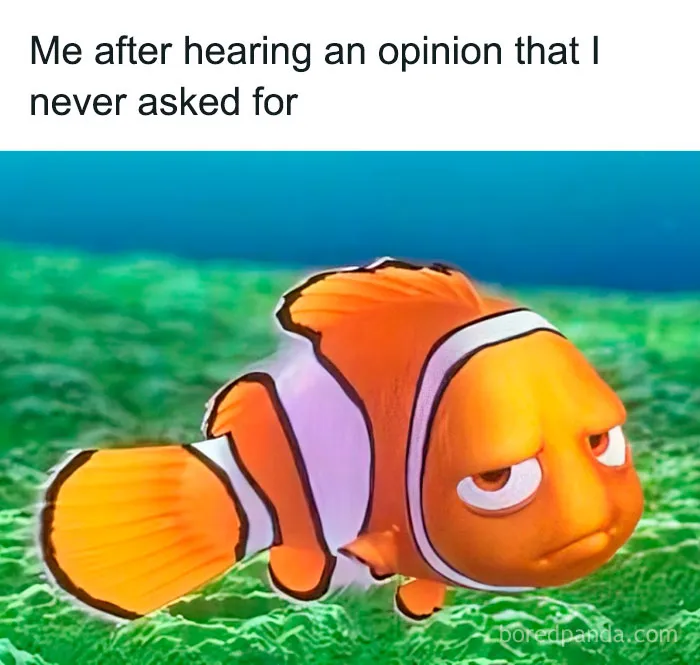 50 Funny Random Memes That Are The Crème De La Crème Of The Internet (New Pics)