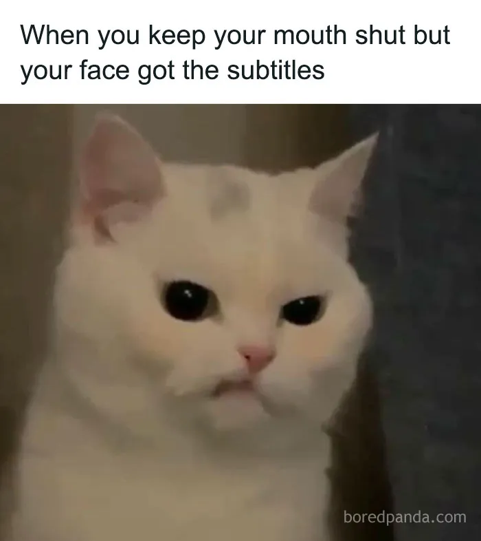 50 Funny Random Memes That Are The Crème De La Crème Of The Internet (New Pics)