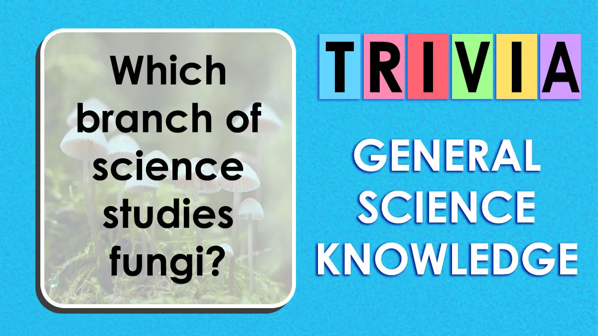 Find Out If You Can Challenge Your Inner Science Nerd And Get A 20/25 Score On This 25-Question Science Quiz