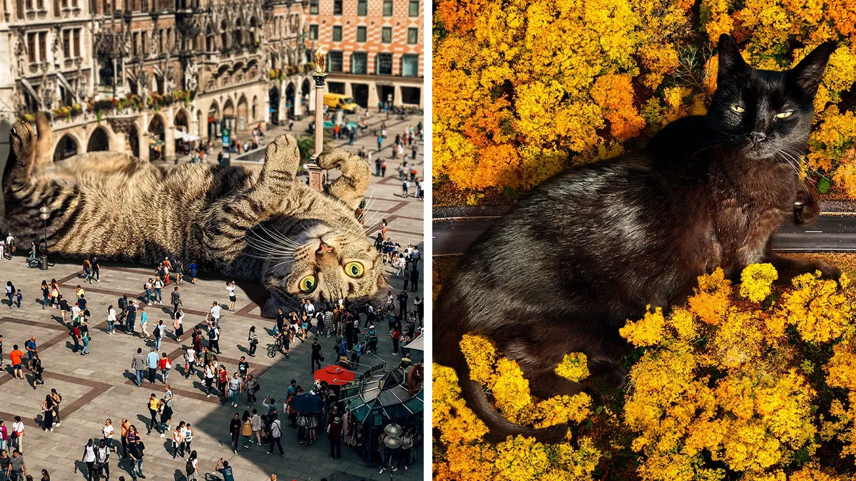 Artist Imagines Surreal Parallel Universe Where Giant Cats Reign, And Here Are 55 New Pieces