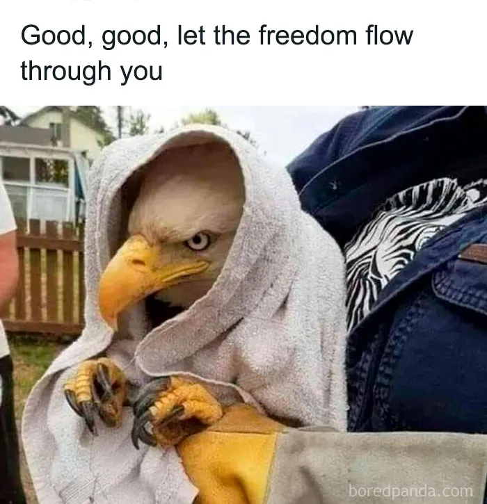 Looks Like An Old Villain Ready For Revenge