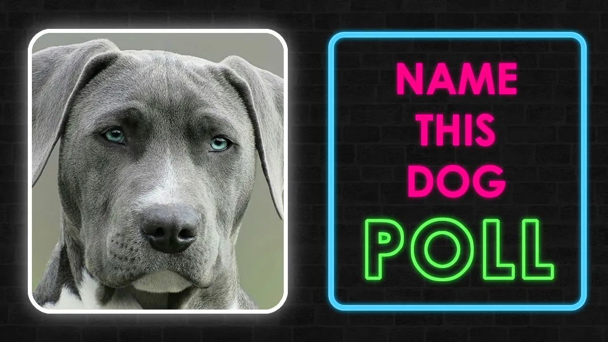This Poll Is All About First Impressions: 20 Images & You Have To Match A Face To A Name – No Wrong Answers