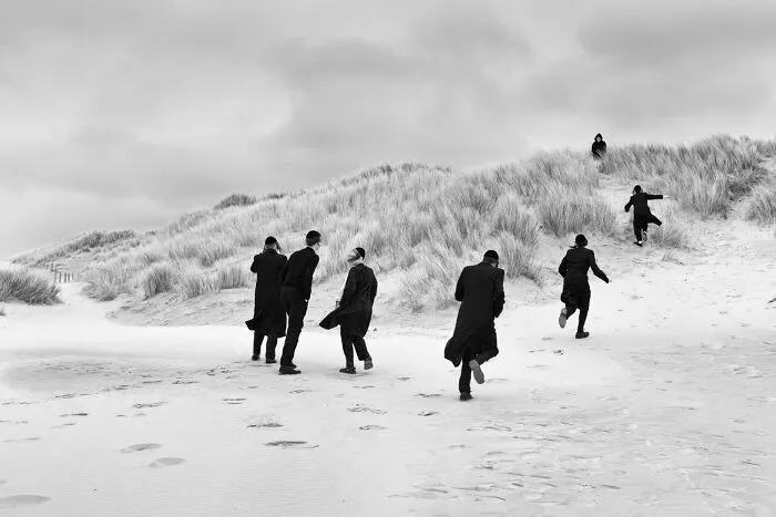 1st Prize: Eddy Verloes