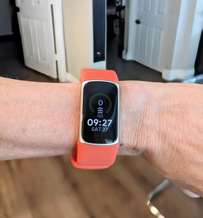 The <a Style="Display:inline;" Href="Https://Www.amazon.com/Fitbit-Fitness-Tracker-Premium-Membership/Dp/B0cc644kmj?_encoding=utf8&pf_rd_m=atvpdkikx0der&pf_rd_s=merchandised-Search-7&pf_rd_r=jsa87hkfa6ktf2dax4kz&pf_rd_p=723b5440-F2b2-4ee0-8922-De3a77b1bcb3&pf_rd_t=&pf_rd_i=203382049011&th=1&linkcode=ll1&tag=bpsloth-20&linkid=bf38b634fd5f788cb1cc0109fce5e44e&language=en_us&ref_=as_li_ss_tl" Target="_blank">    <span Style="Font: Inherit; Color: #d74b1f;"> Fitbit Charge 6</Span> Is The Only Friend Who Will Celebrate With You For Walking From The Couch To The Fridge And Back Again