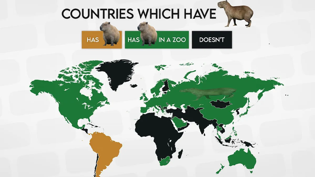 50 Fun And Surprisingly Insightful Maps Shared By ‘Amazing Maps’