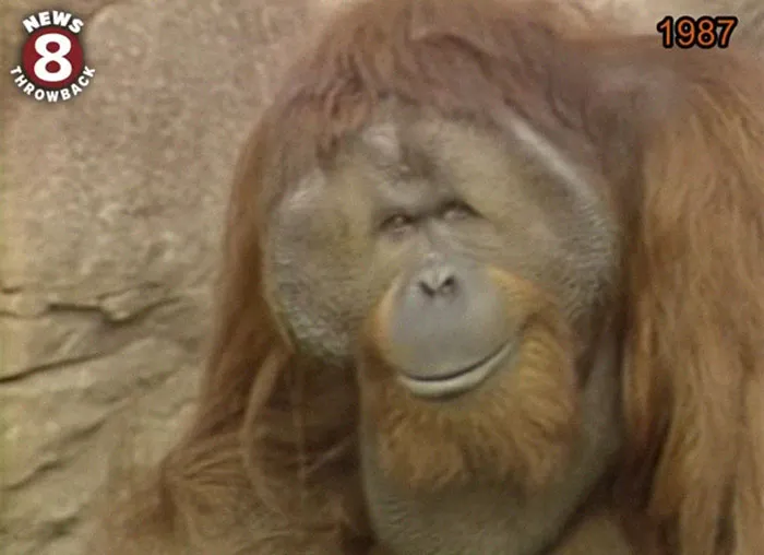 50 Unusual And Cool Facts About The World People Just Learned This June