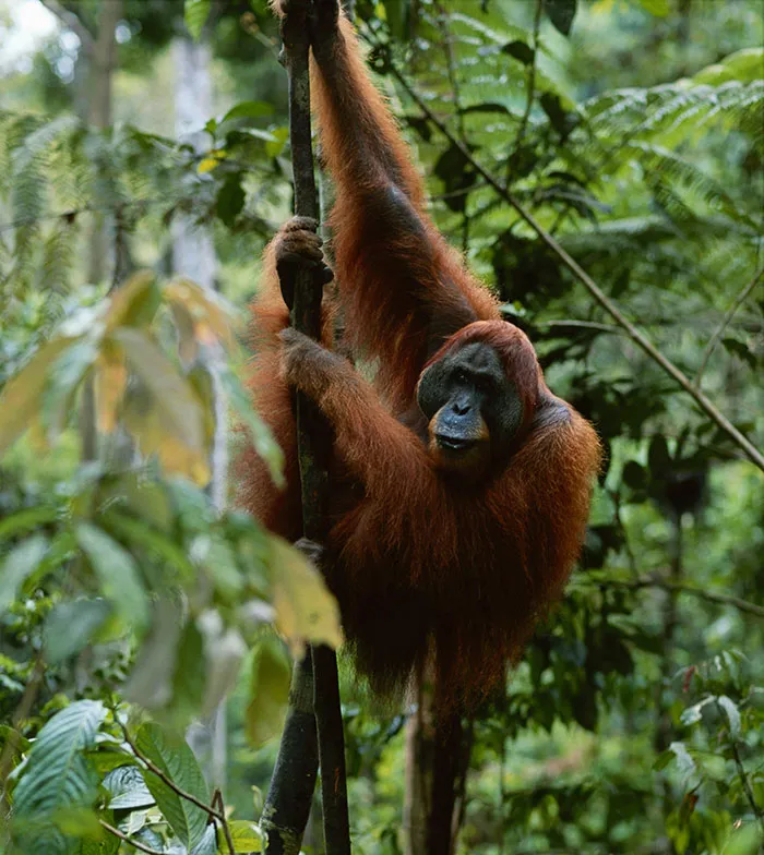 50 Unusual And Cool Facts About The World People Just Learned This June
