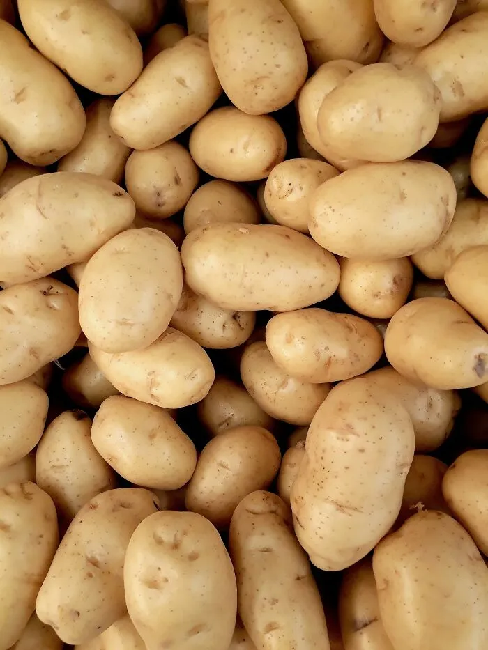 50 Delightfully Weird Facts About The World That People Learned This July