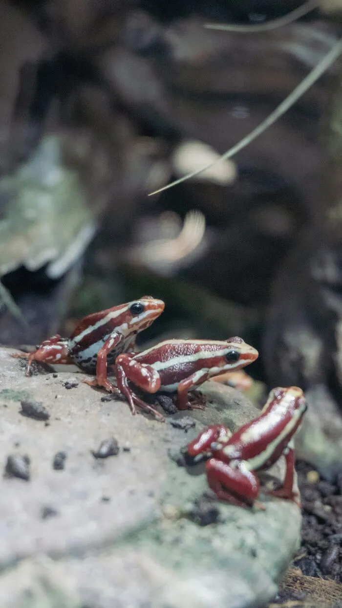 50 Delightfully Weird Facts About The World That People Learned This July