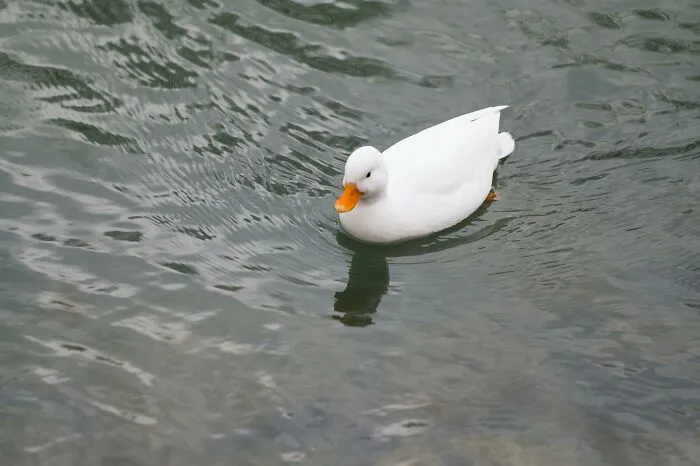 50 Delightfully Weird Facts About The World That People Learned This July