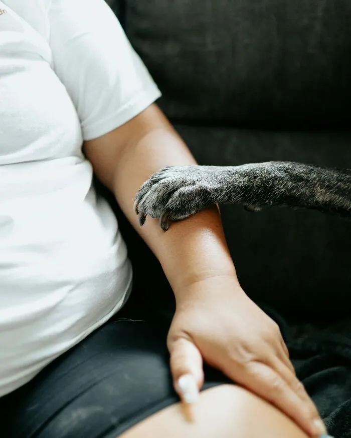 50 Mysterious Body Quirks People Can’t Find Answers For