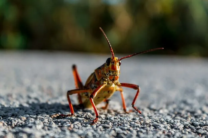 "Hair. I Know It's Insane": 50 Weird And Confusing Phobias