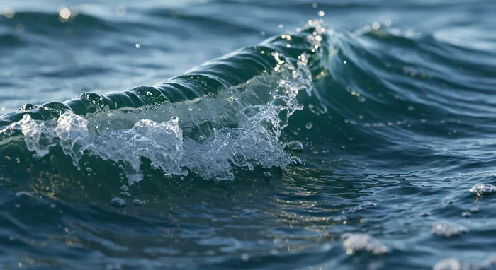 I Captured 11 Macro Shots That Highlight Nature’s Magic