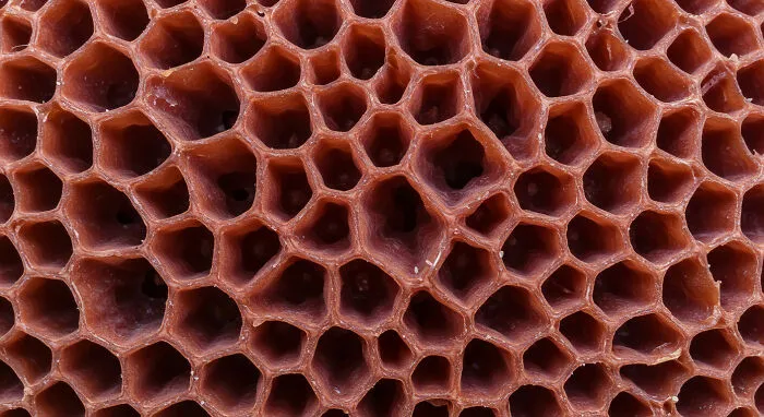 I Captured 11 Macro Shots That Highlight Nature’s Magic