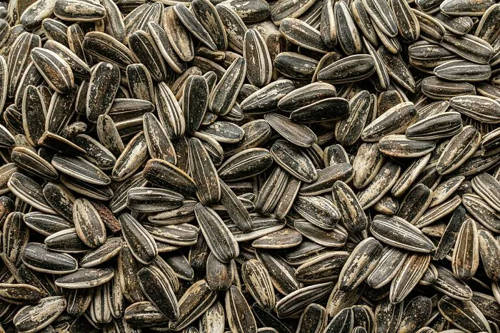 “Imagine The Smell”: 45 Weirdest Objects Doctors Had To Remove From Their Patients