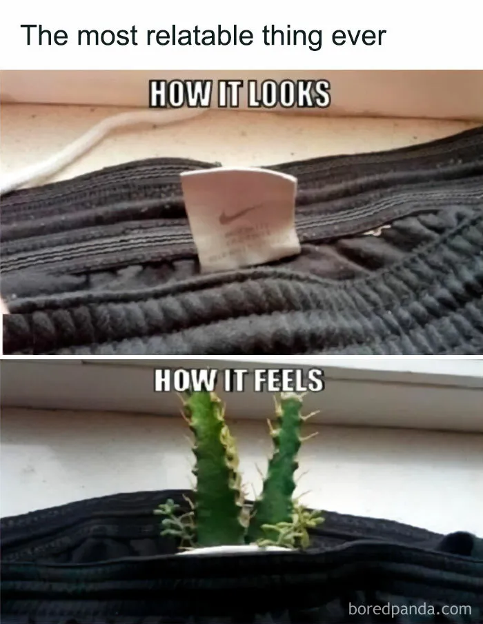 50 Funny And Chaotic Memes To Enjoy Until Laughing Is Still Free