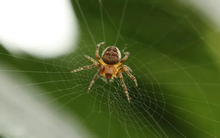 "Hair. I Know It's Insane": 50 Weird And Confusing Phobias