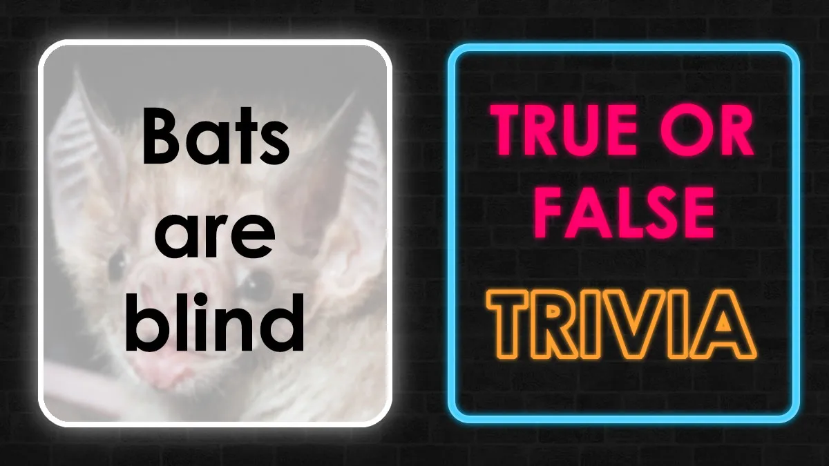 “Think You Are Smarter Than The Crowd?”: Tackle These 39 True-Or-False Questions