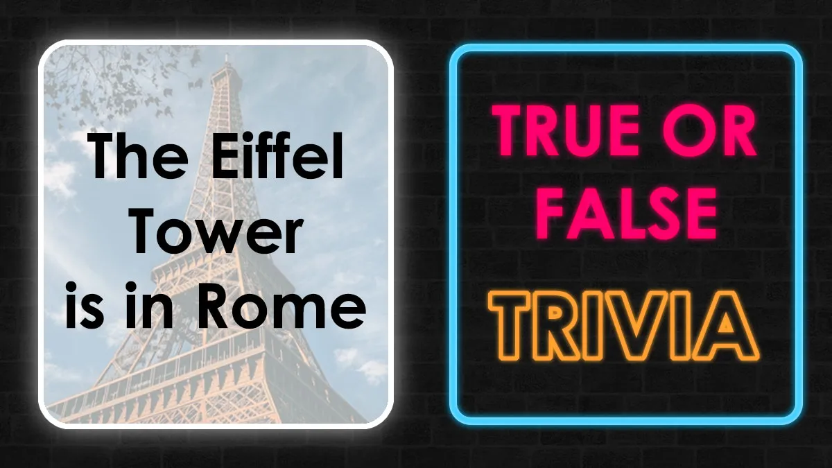 Prove You Know More Than The Average Person By Acing This 35-Question True-Or-False Quiz