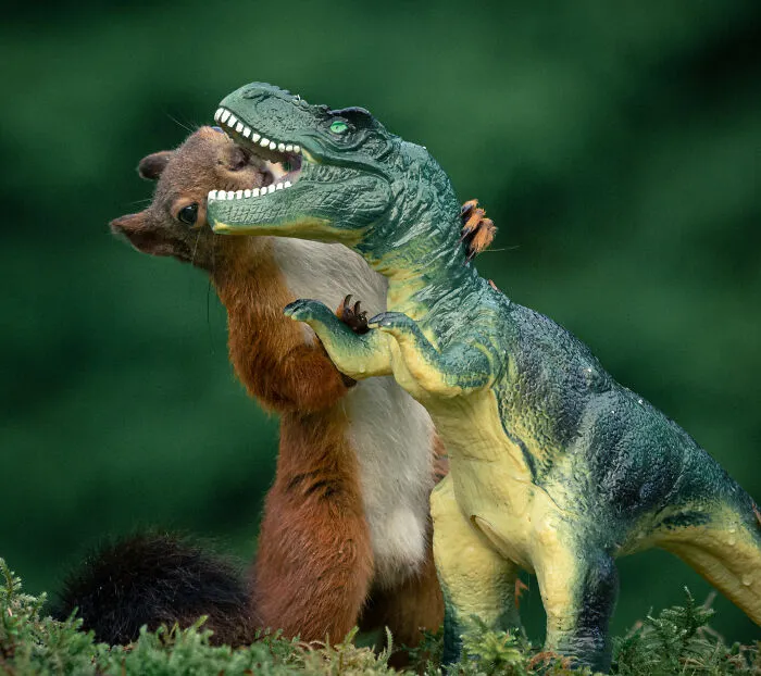 50 Of The Funniest Animal Photos Shared By Our Community